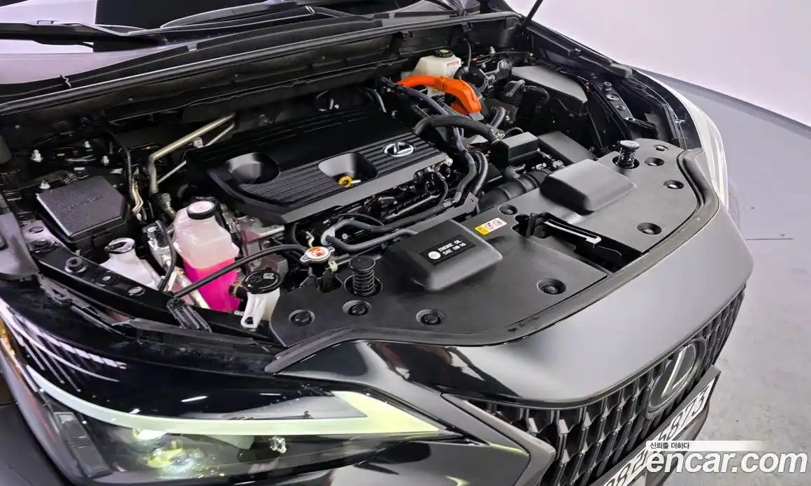 Lexus NX 2024 2.5 Автомат в Москве № 198762, фото 19