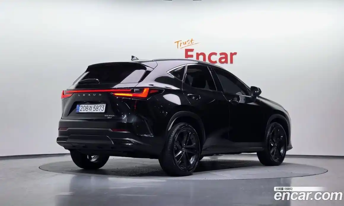 Lexus NX 2024 2.5 Автомат в Москве № 198762, фото 10