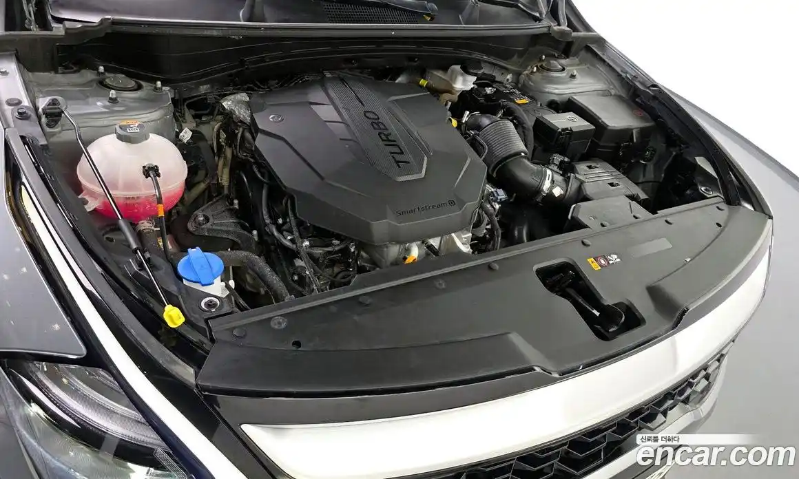 Kia Sportage 2024 2.0 Автомат в Москве № 124099, фото 17