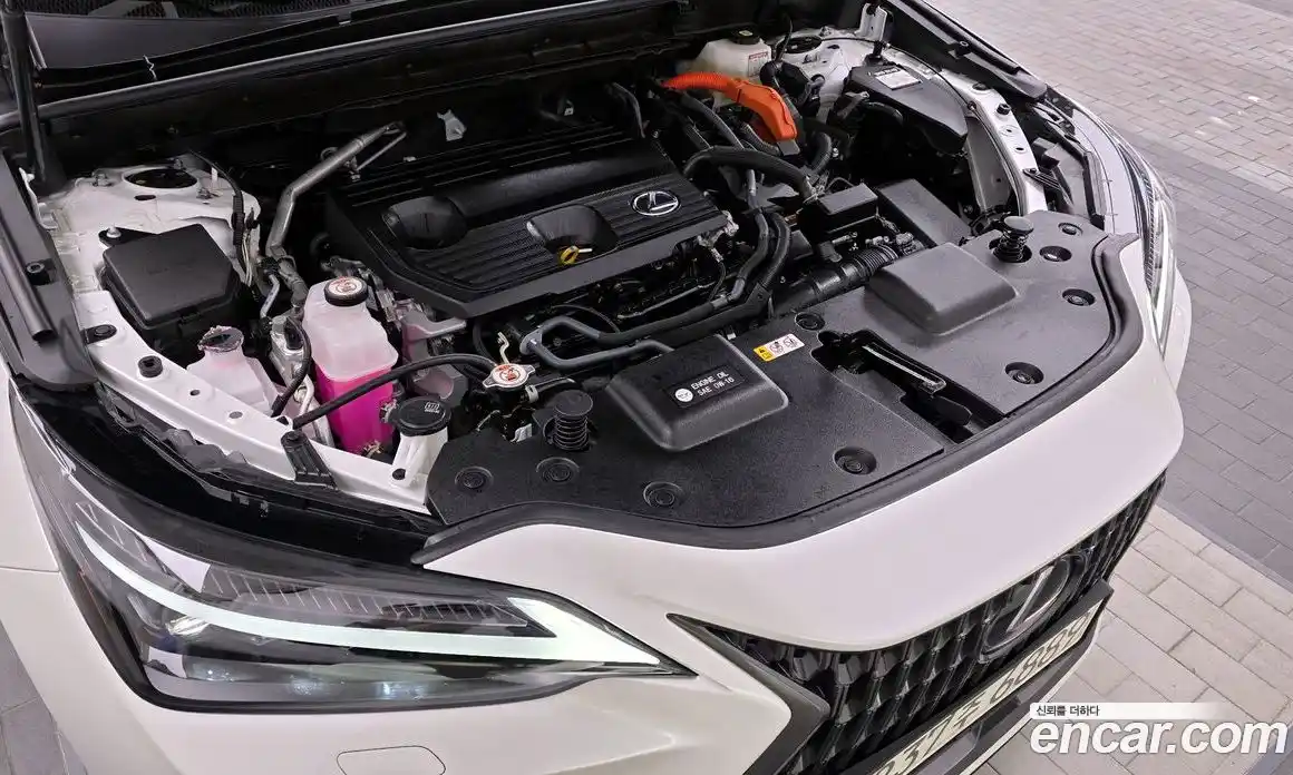 Lexus NX 2025 2.5 Автомат в Москве № 167958, фото 19