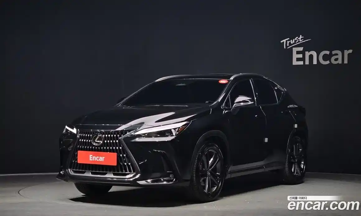 Lexus NX 2025 2.5 Автомат в Москве № 168047, фото 1