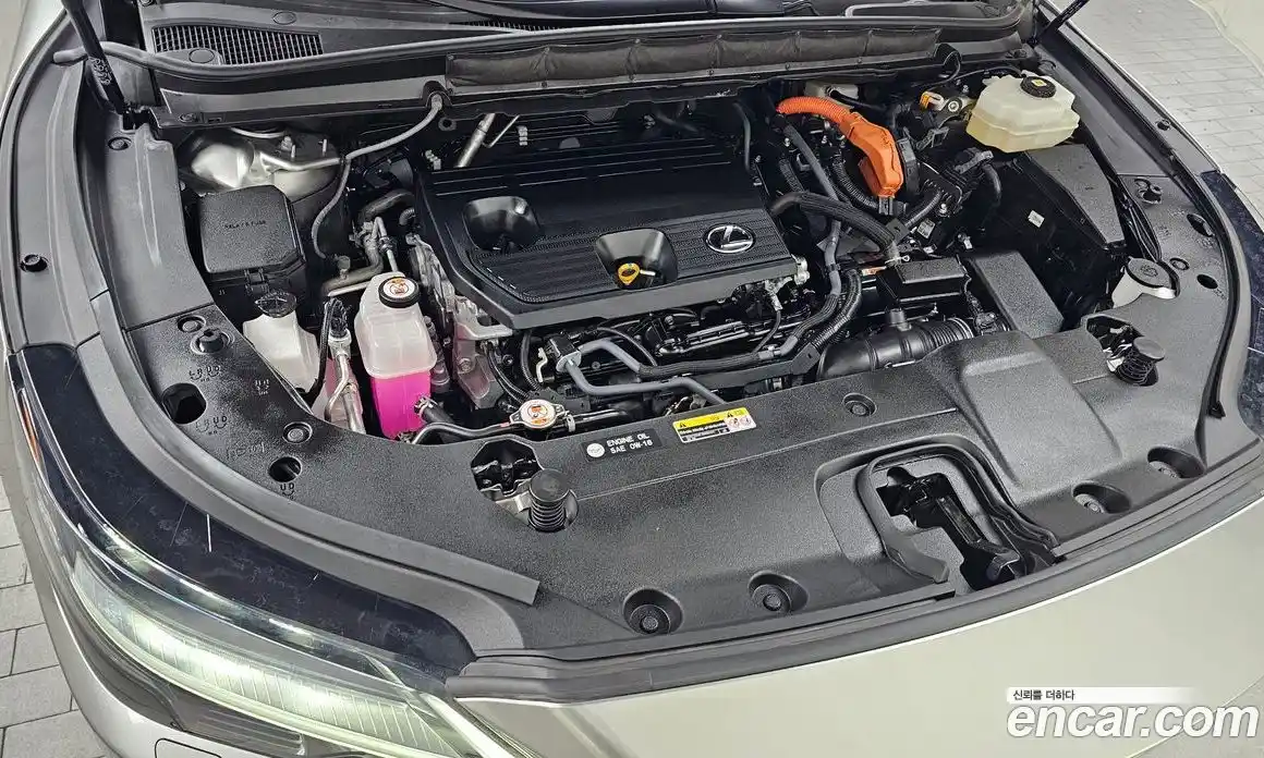 Lexus RX 2023 2.5 Автомат в Москве № 198847, фото 6