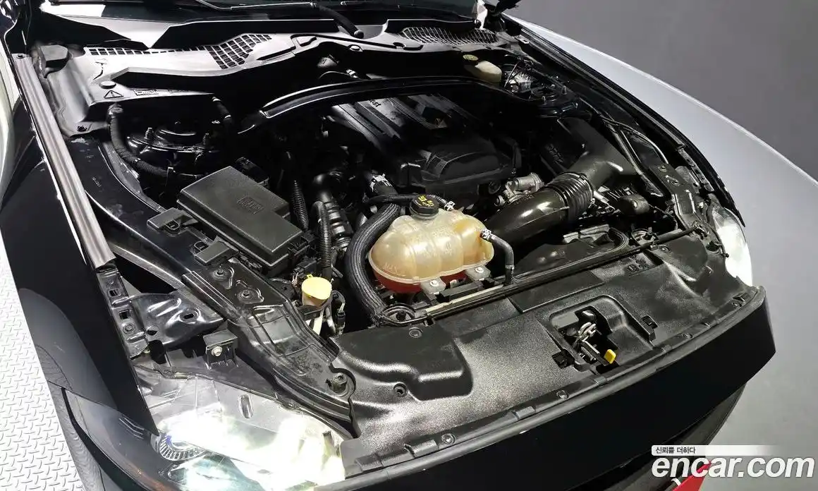 Ford Mustang 2019 2.3 Автомат в Москве № 233240, фото 6