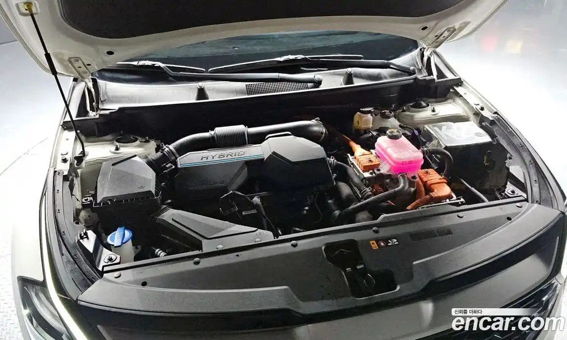 Kia Sportage 2023 1.6 Автомат в Москве № 534889, фото 6