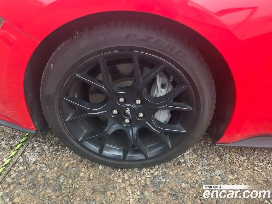 Ford Mustang 2021 2.3 Автомат в Москве № 547465, фото 12