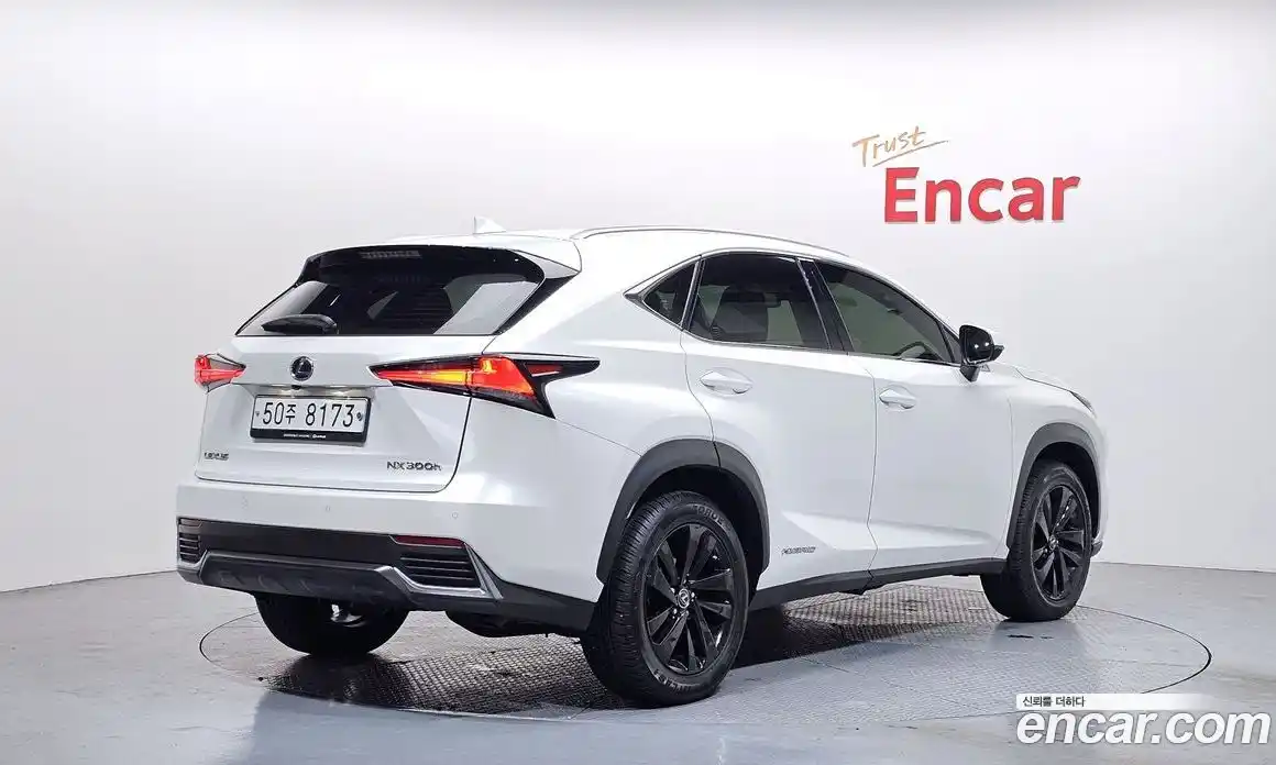 Lexus NX 2019 2.5 Автомат в Москве № 232028, фото 19