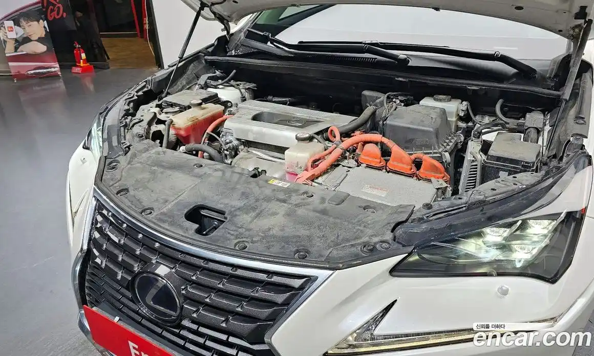 Lexus NX 2019 2.5 Автомат в Москве № 232028, фото 20