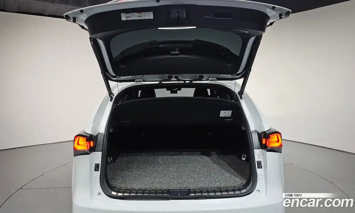 Lexus NX 2020 2.0 Автомат в Москве № 198717, фото 19