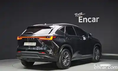 Lexus NX, 2024