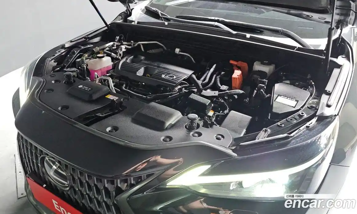 Lexus NX 2024 2.5 Автомат в Москве № 214601, фото 6