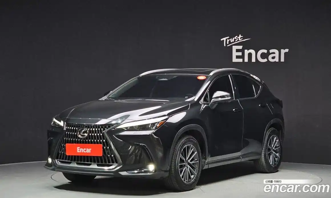 Lexus NX 2024 2.5 Автомат в Москве № 214601, фото 9