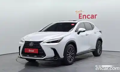 Lexus NX, 2024
