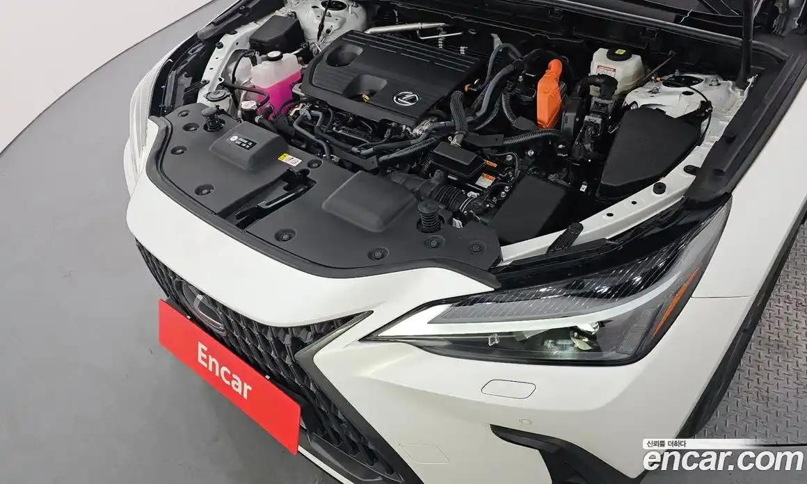 Lexus NX 2025 2.5 Автомат в Москве № 168036, фото 13