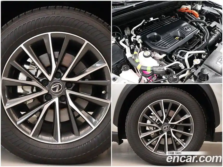 Lexus NX 2022 2.5 Автомат в Москве № 198769, фото 20