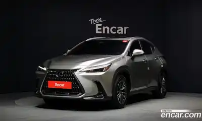 Lexus NX, 2024