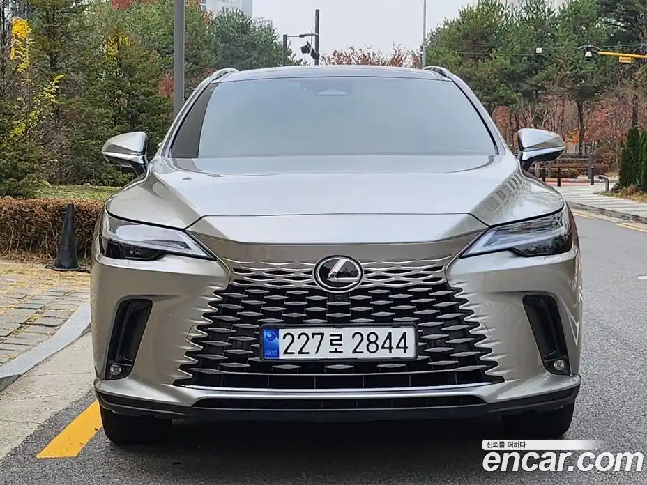 Lexus RX 2024 2.5 Автомат в Москве № 214815, фото 1