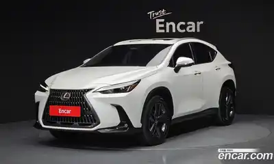 Lexus NX, 2024