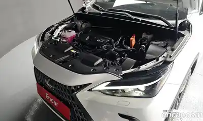 Lexus NX 2024 2.5 Автомат в Москве № 198794, миниатюра 6