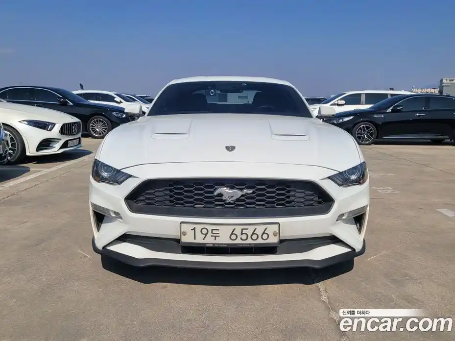Ford Mustang 2019 2.3 Автомат в Москве № 547528, фото 1