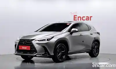 Lexus NX, 2025