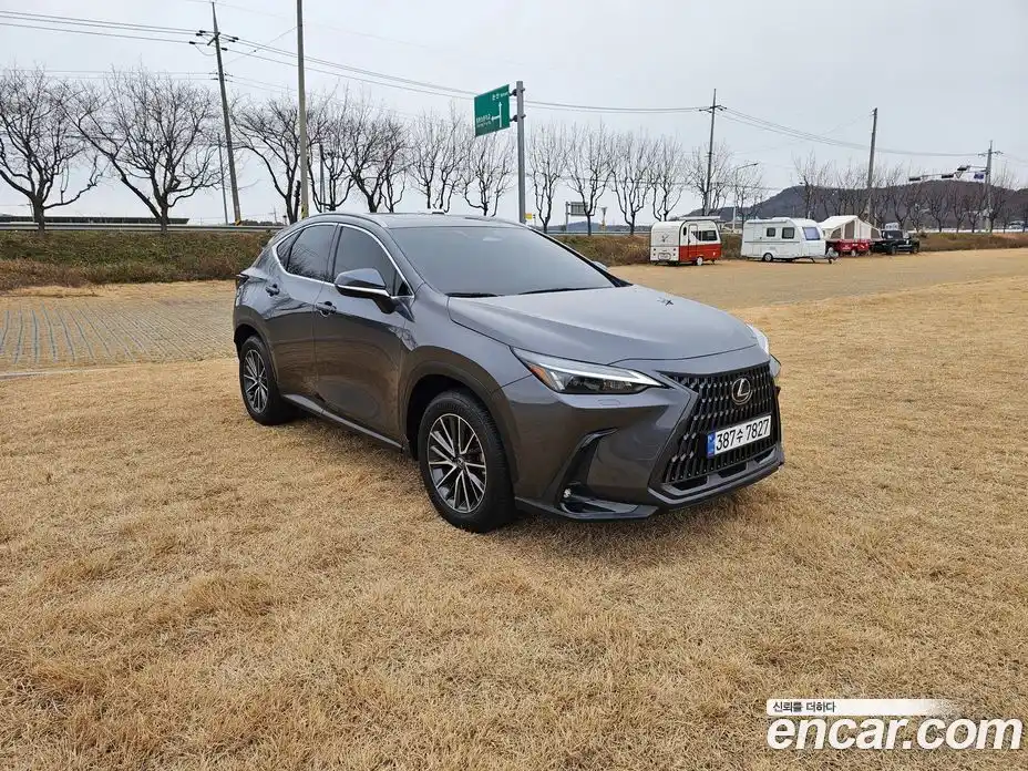 Lexus NX 2024 2.5 Автомат в Москве № 214789, фото 1