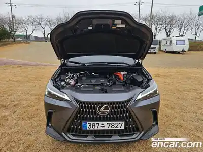 Lexus NX 2024 2.5 Автомат в Москве № 214789, миниатюра 11