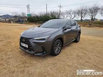 Lexus NX 2024 2.5 Автомат в Москве № 214789, миниатюра 3