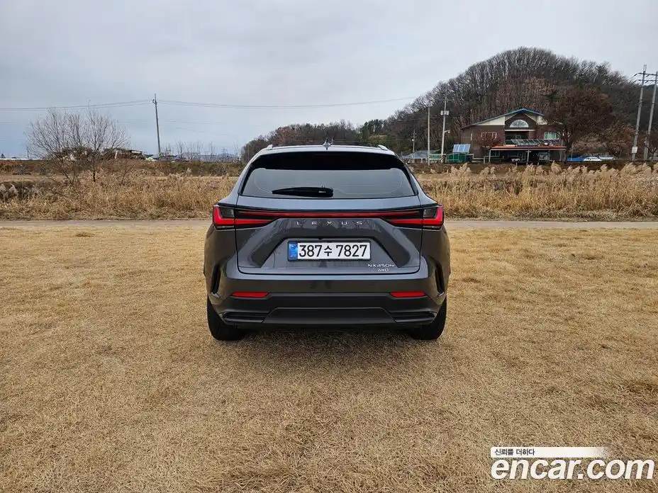 Lexus NX 2024 2.5 Автомат в Москве № 214789, фото 6