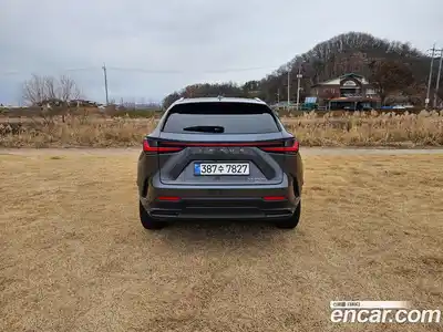 Lexus NX 2024 2.5 Автомат в Москве № 214789, миниатюра 6