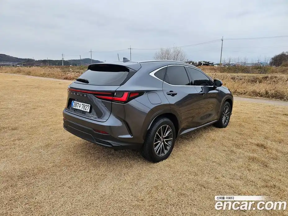 Lexus NX 2024 2.5 Автомат в Москве № 214789, фото 7