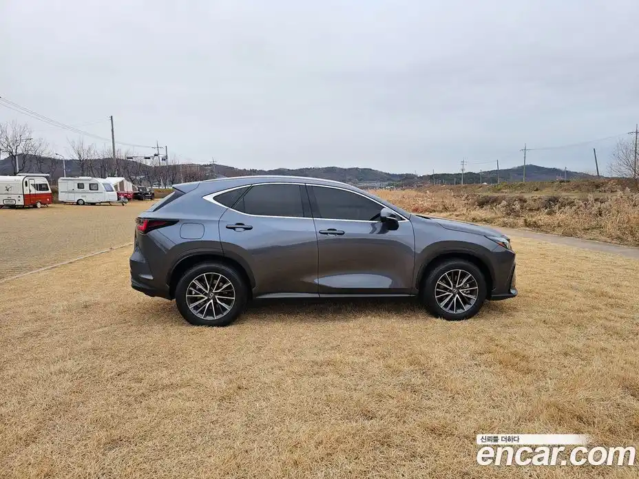 Lexus NX 2024 2.5 Автомат в Москве № 214789, фото 8