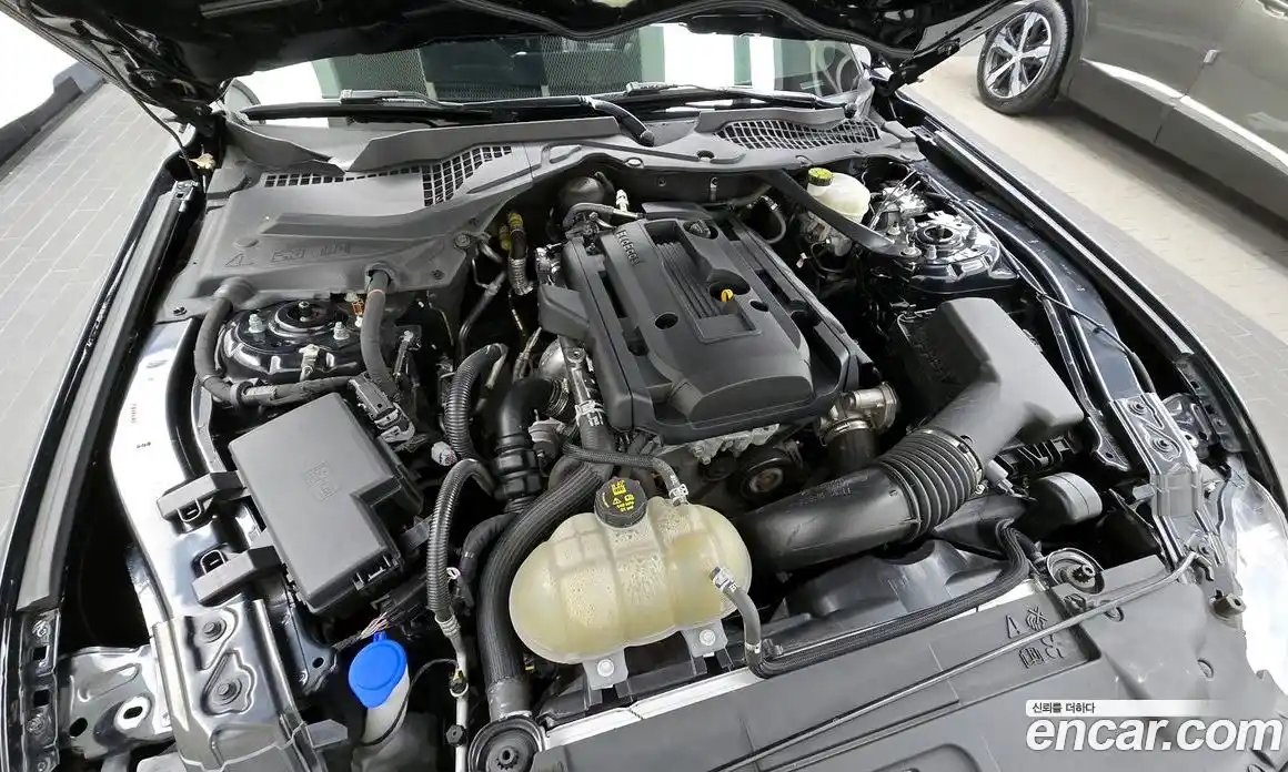 Ford Mustang 2022 2.3 Автомат в Москве № 233241, фото 13