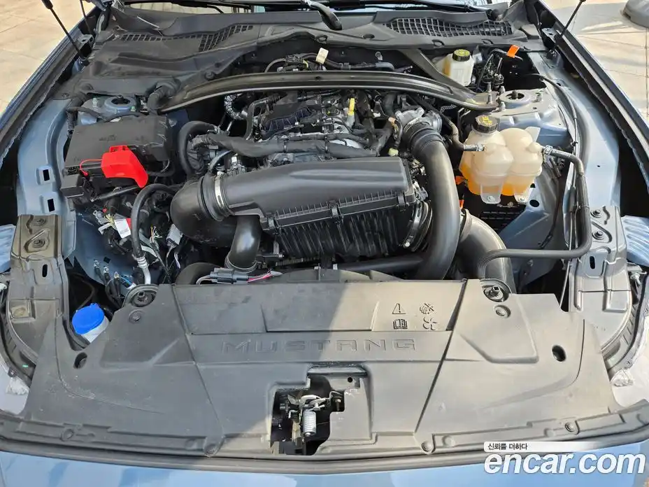 Ford Mustang 2024 2.3 Автомат в Москве № 491996, фото 6