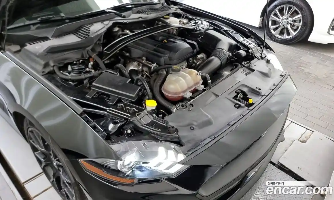 Ford Mustang 2019 2.3 Автомат в Москве № 170873, фото 1