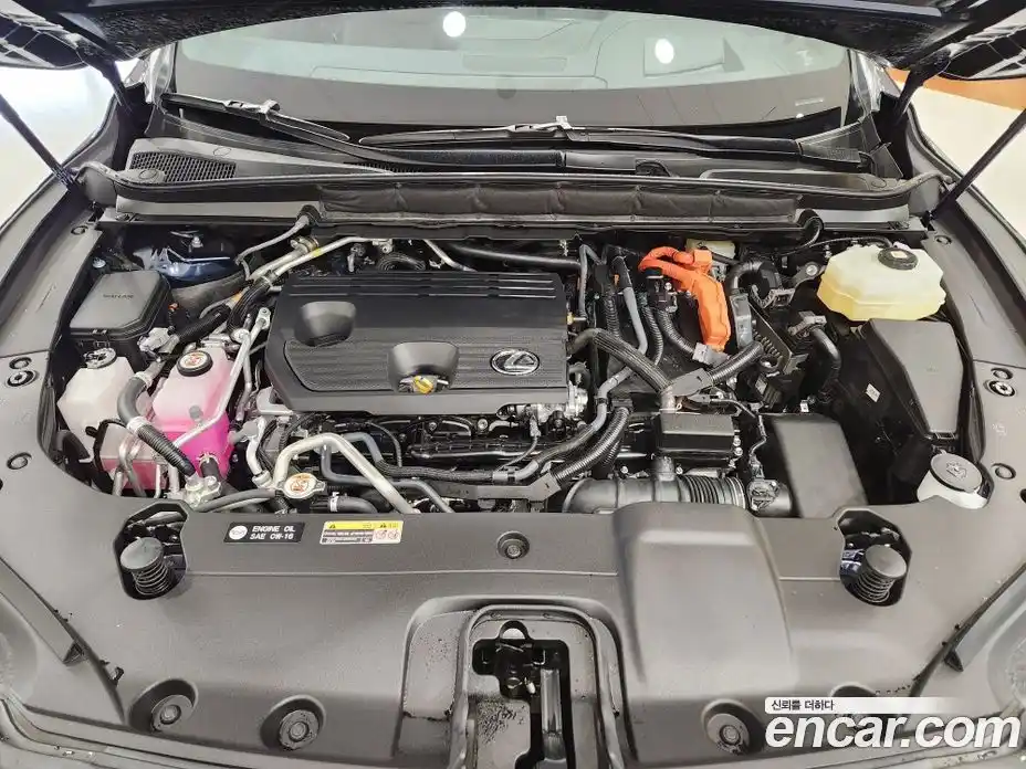 Lexus RX 2025 2.5 Вариатор в Москве № 214769, фото 7