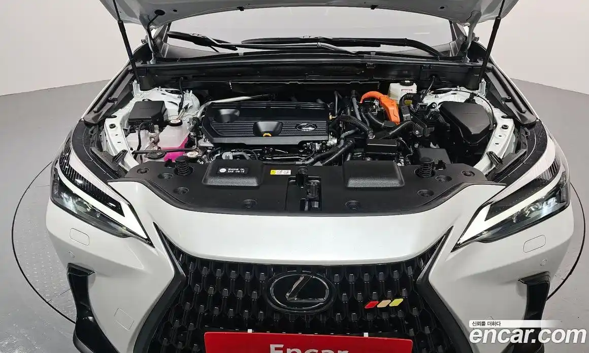 Lexus NX 2024 2.5 Автомат в Москве № 168055, фото 17
