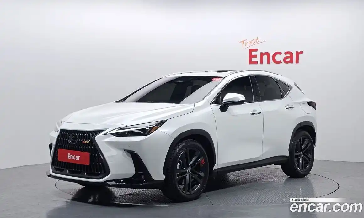 Lexus NX 2024 2.5 Автомат в Москве № 168055, фото 18