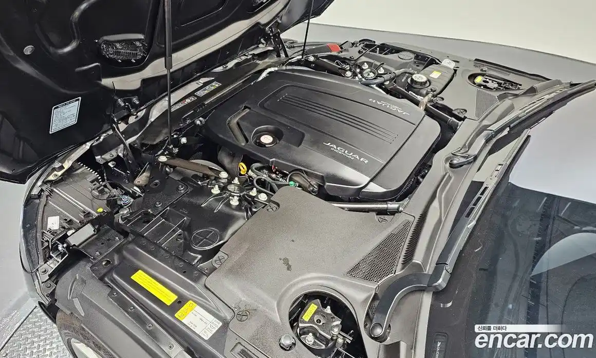 Jaguar F-Type 2023 2.0 Автомат в Москве № 236298, фото 5