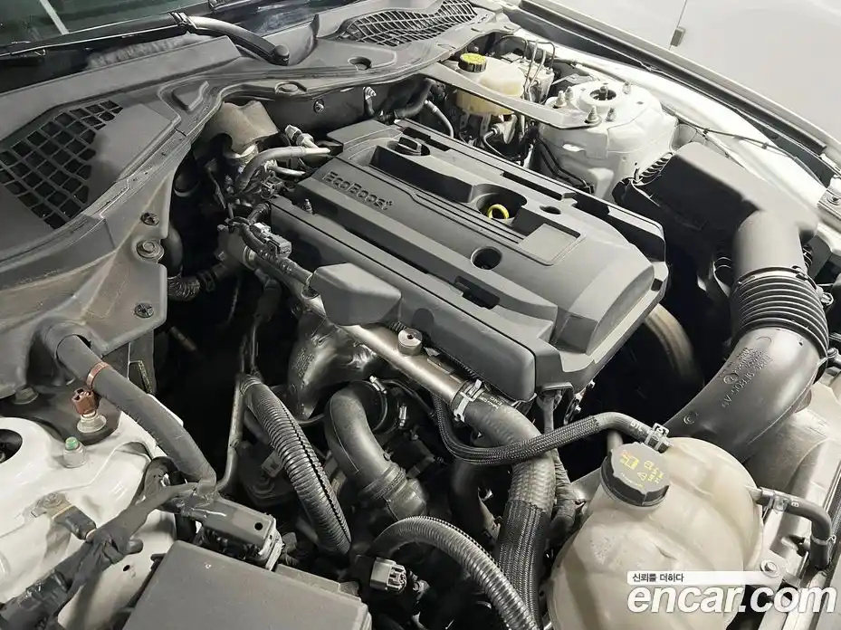 Ford Mustang 2023 2.3 Автомат в Москве № 281910, фото 6