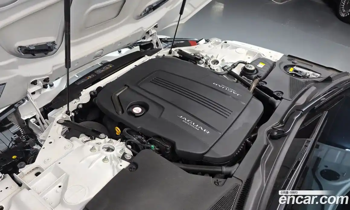 Jaguar F-Type 2022 2.0 Автомат в Москве № 256053, фото 4