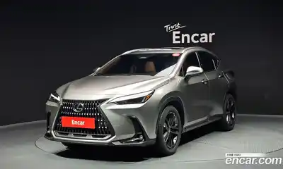 Lexus NX, 2025