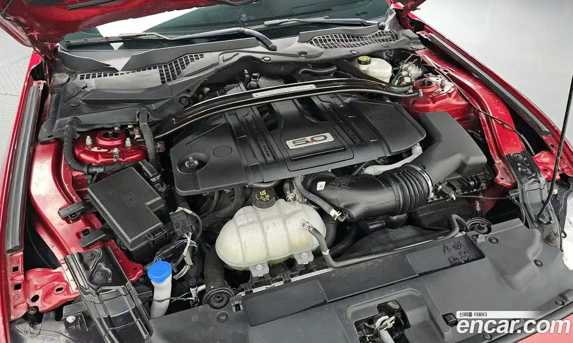 Ford Mustang 2021 5.0 Автомат в Москве № 170843, фото 5