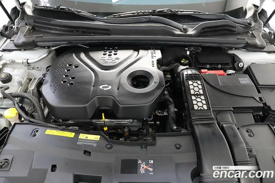 Renault SM6 2019 2.0 Автомат в Москве № 524029, фото 19