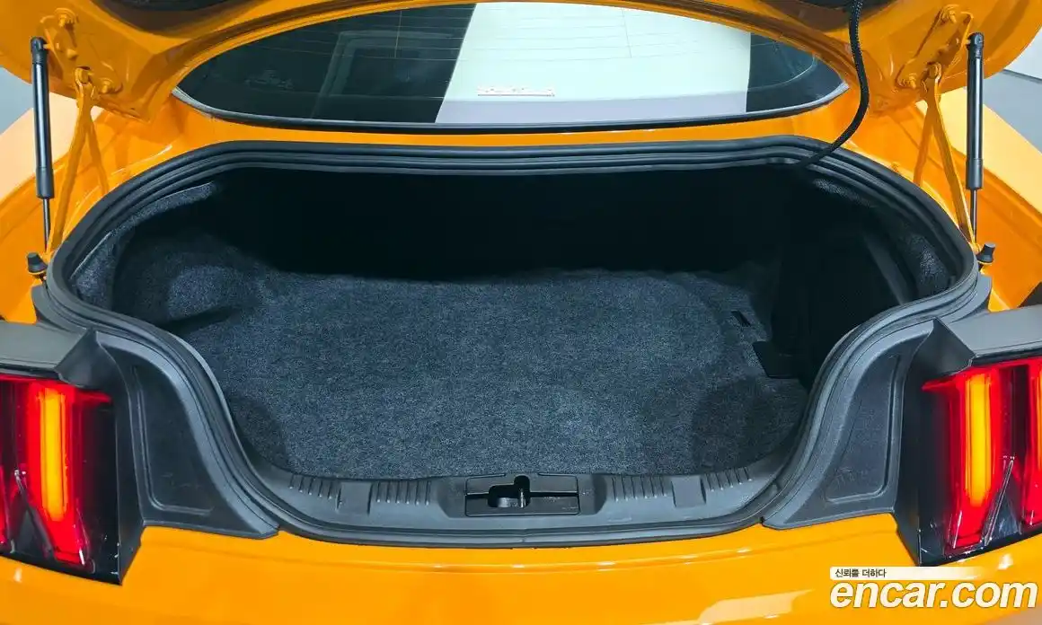 Ford Mustang 2019 5.0 Автомат в Москве № 170884, фото 20