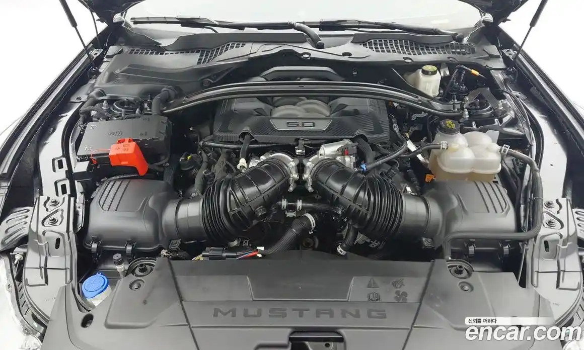 Ford Mustang 2025 5.0 Автомат в Москве № 610284, фото 6