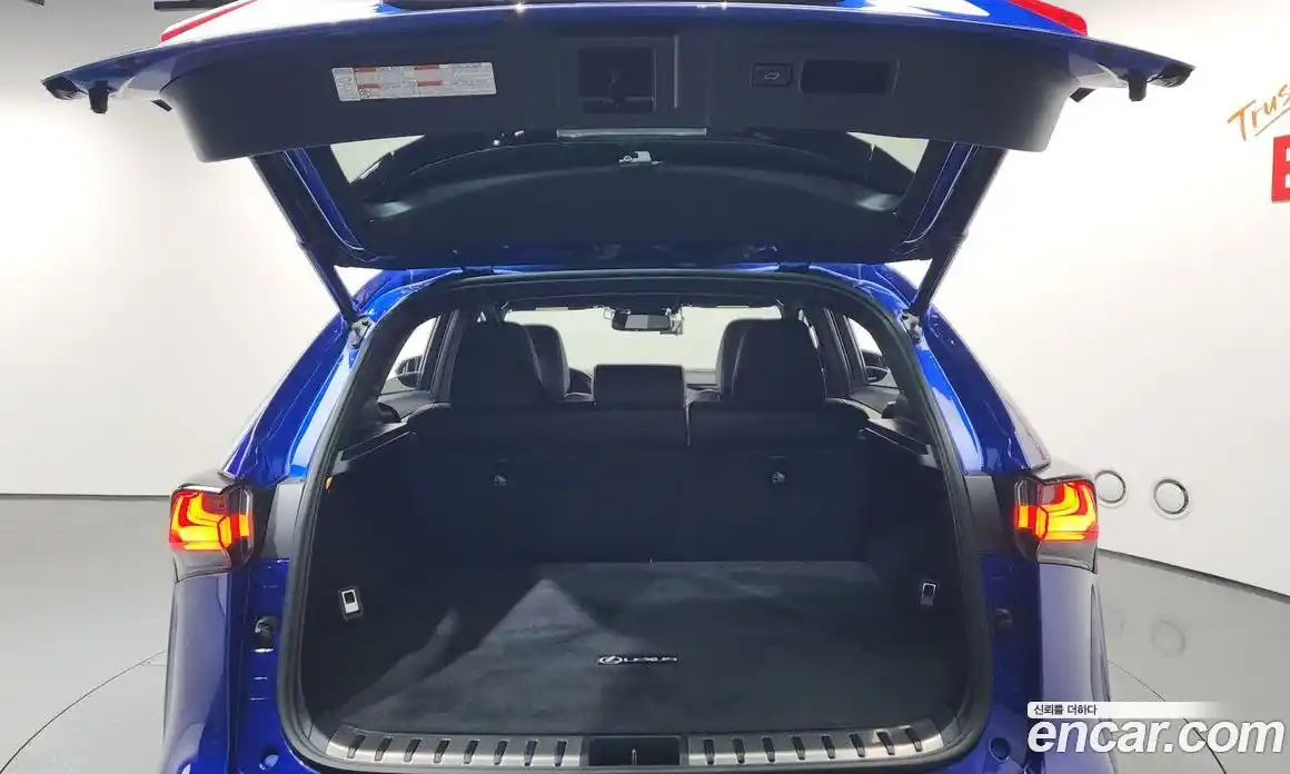 Lexus NX 2017 2.0 Автомат в Москве № 628579, фото 20