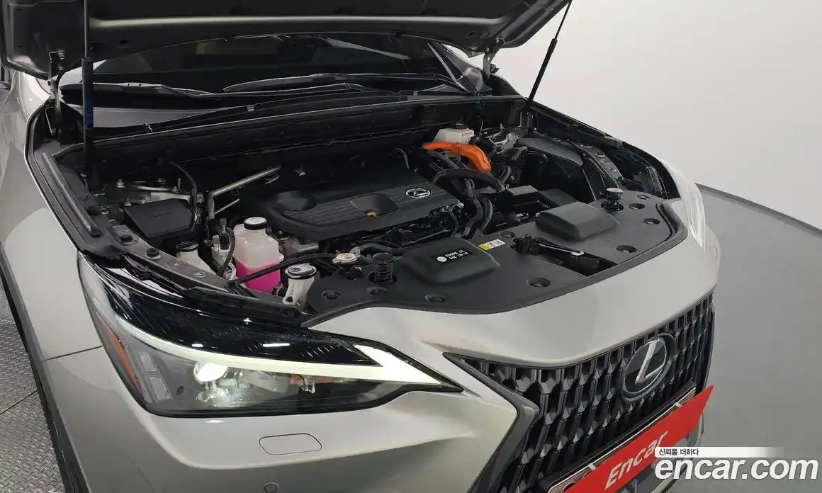 Lexus NX 2023 2.5 Автомат в Москве № 595549, фото 6