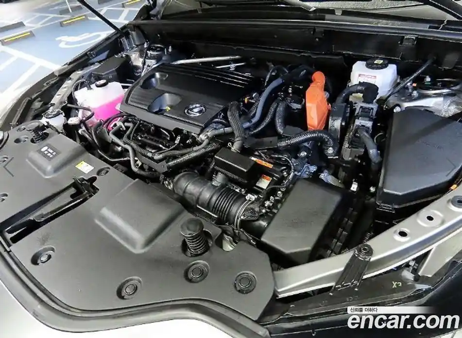 Lexus NX 2023 2.5 Автомат в Москве № 628761, фото 19