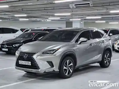 Lexus NX, 2019