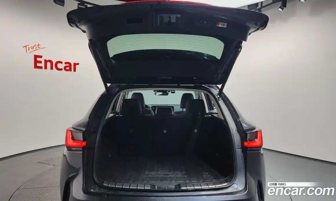 Lexus NX 2024 2.5 Автомат в Москве № 198734, фото 20